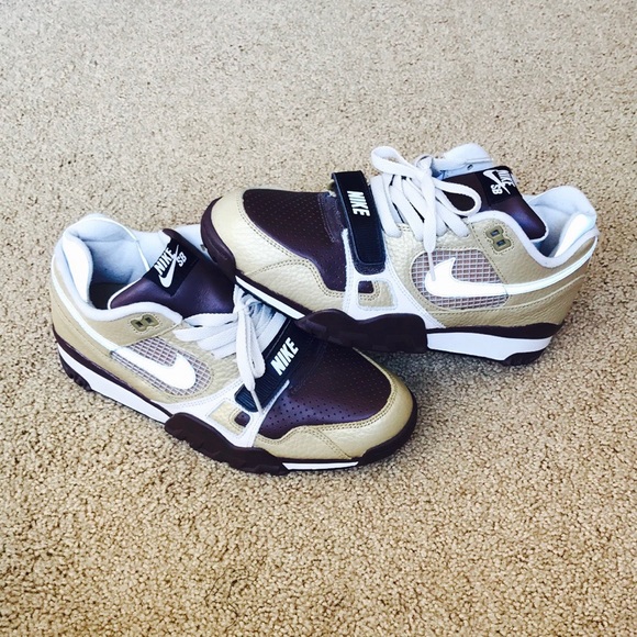 nike air trainer 2 sb